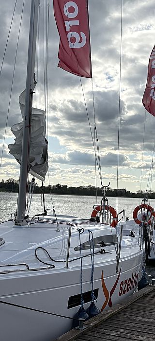 Obraz Antila 26.2