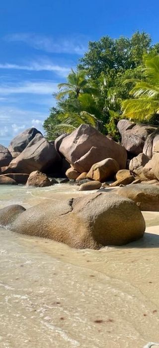 Obraz Prawdziwa egzotyka na wyciągnięcie ręki