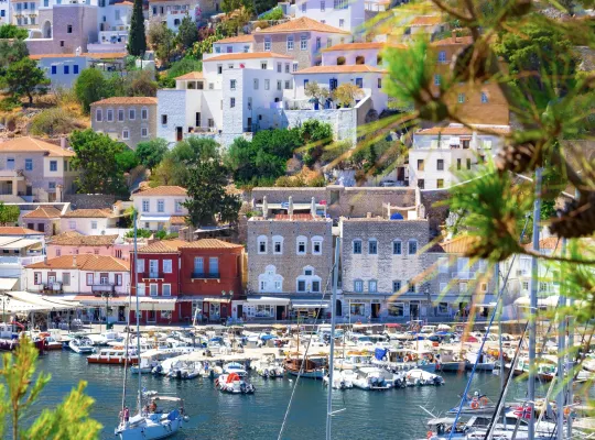 Hydra