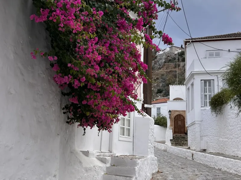 Galeria